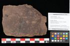 Foto (Objekt + Etikett) von Quercus palaeoilex Ettingshausen (NHMW-GEO-2024-0188-0883)